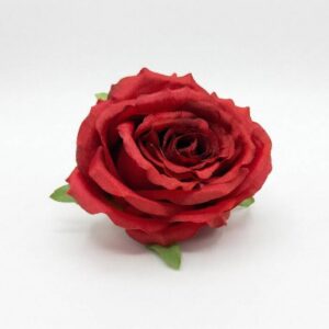 Róża wyrobowa średnia – Główka kwiatowa (Wiele kolorów)